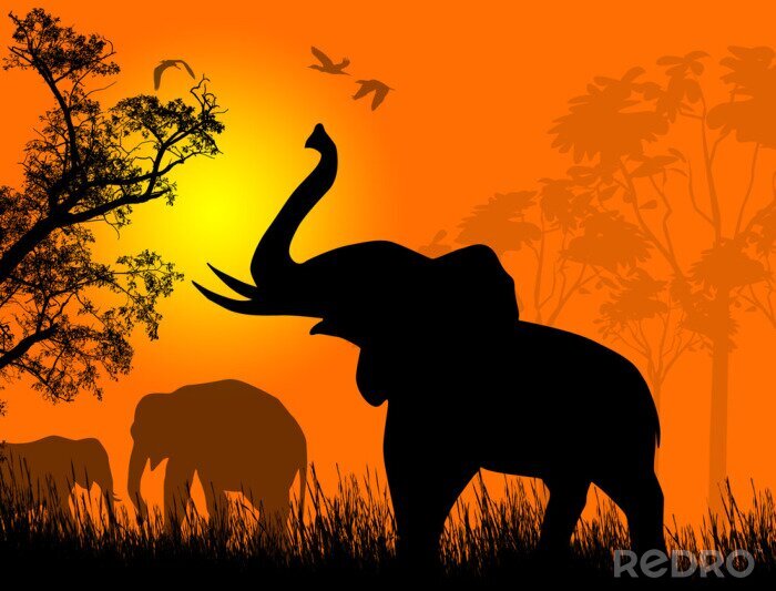 Fotobehang Wilde olifanten bij zonsondergang