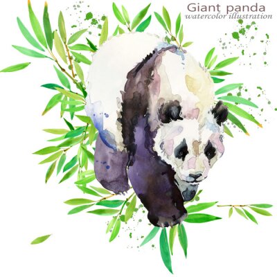 wilde Panda hand tekenen aquarel illustratie
