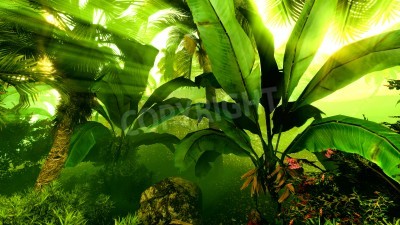 Fotobehang Wilde planten in de jungle