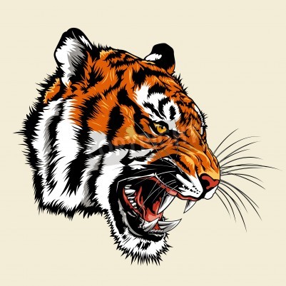 Fotobehang Wilde tijger toont zijn hoektanden