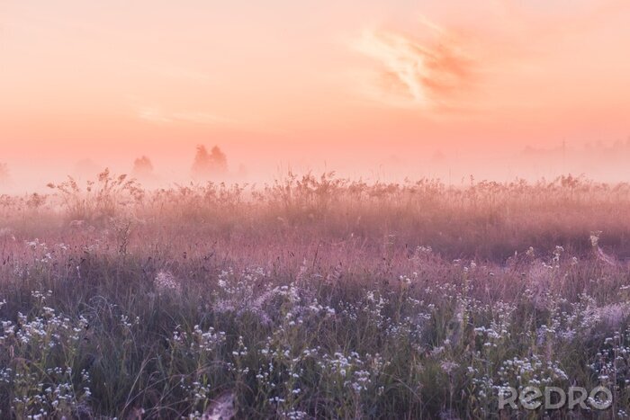 Fotobehang Wilde weide bij roze dageraad