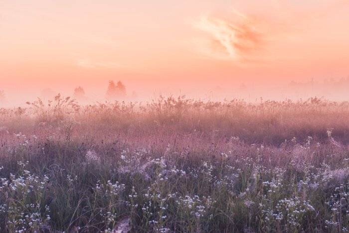 Fotobehang Wilde weide bij roze dageraad