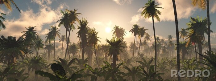 Fotobehang Wildernis in de mist