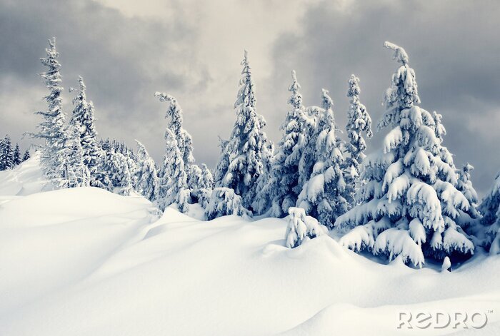 Fotobehang Winter in de bergen