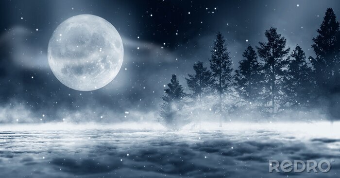Fotobehang Winterbos bij nacht in het maanlicht