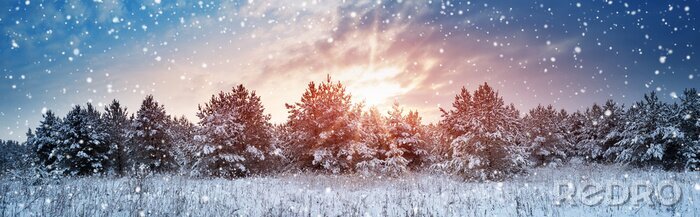 Fotobehang Winterdennen bij zonsondergang
