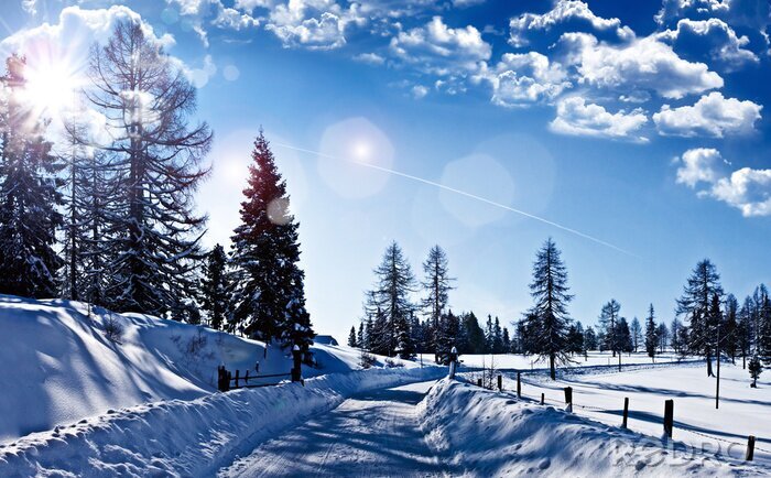 Fotobehang Winterlandschap in de zon