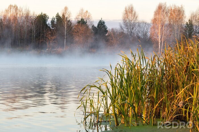 Fotobehang Winternatuur aan een meer
