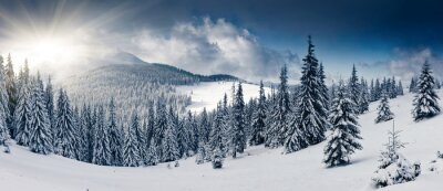 Winters bergpanorama