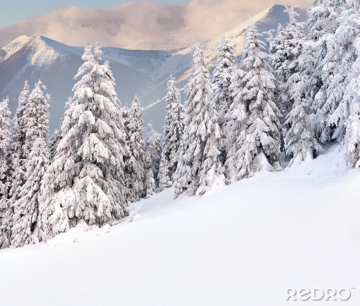 Fotobehang Winteruitzicht in de bergen