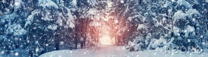 Fotobehang Winterweg door een dicht bos