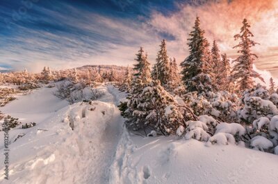 Fotobehang Winterzonsondergang in het Beskidengebergte