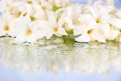 Fotobehang Witte bloemen op een lichte achtergrond