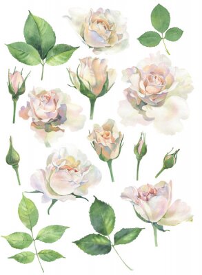 Witte rozen en groene aquarel bladeren