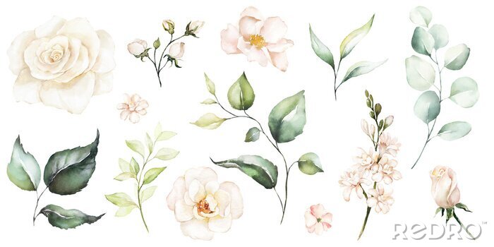 Fotobehang Witte rozen toppen en bloemen in aquarel