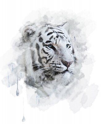 Fotobehang Witte tijger in aquarel