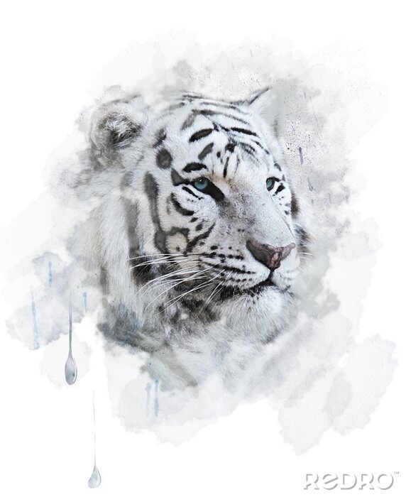 Fotobehang Witte tijger in aquarel