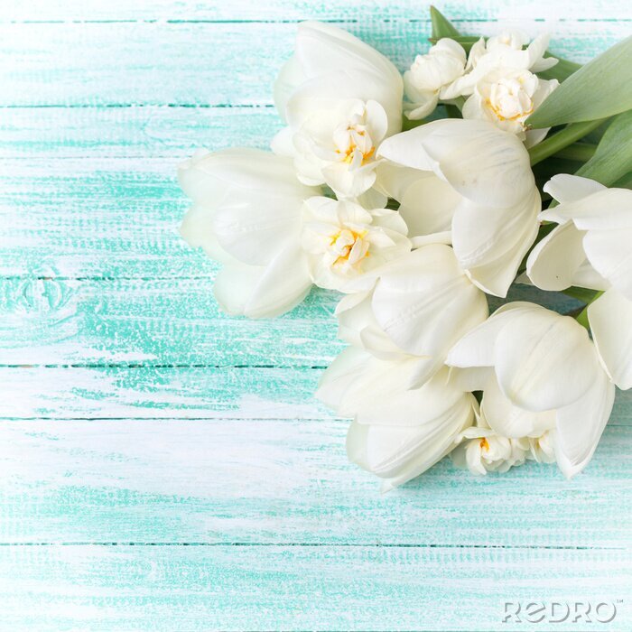 Fotobehang Witte tulpen op hout