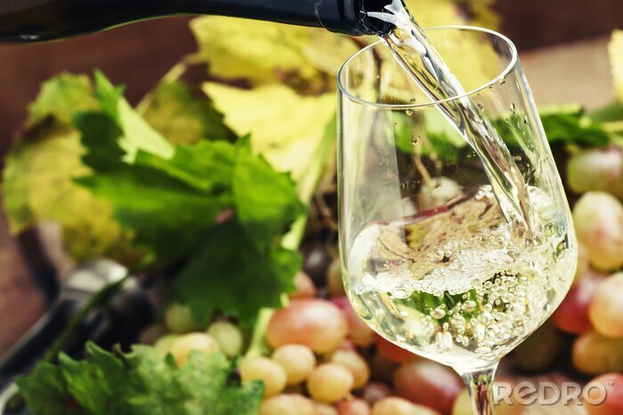 Fotobehang Witte wijn in een glas