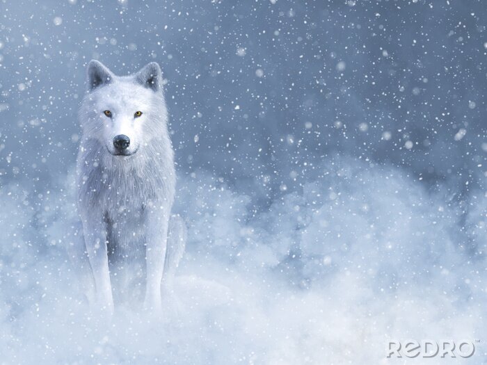 Fotobehang Witte wolf in de sneeuw