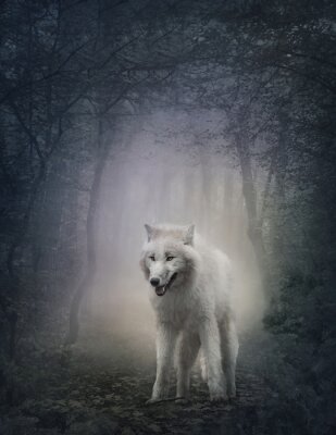 Witte wolf in een mistig bos