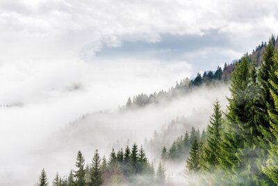 Fotobehang Witte wolken boven het bos