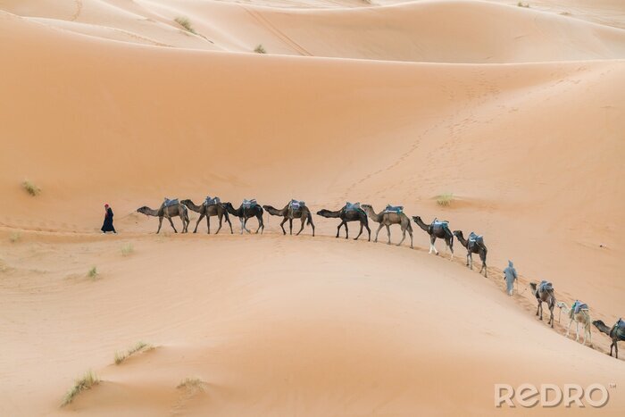 Fotobehang Woestijn en karavaan