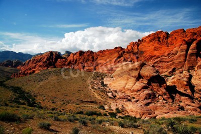 Fotobehang Woestijn en rode rotsen