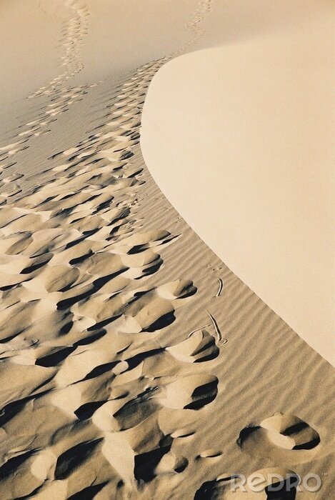 Fotobehang Woestijn en zijn natuur