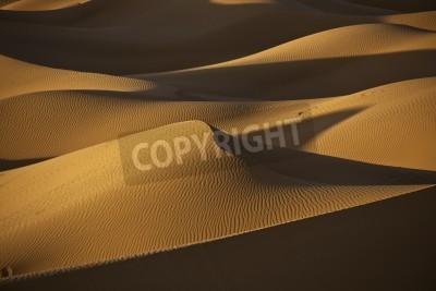 Fotobehang Woestijn in de avondzon