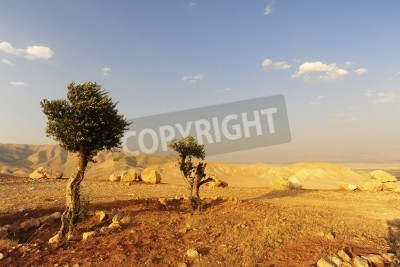 Fotobehang Woestijn in Judea