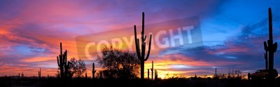Fotobehang Woestijncactussen op de achtergrond van zonsondergang