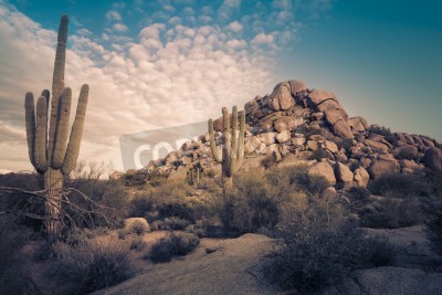 Fotobehang Woestijnlandschap in Arizona