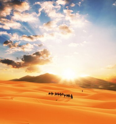 Fotobehang Woestijnlandschap met dieren