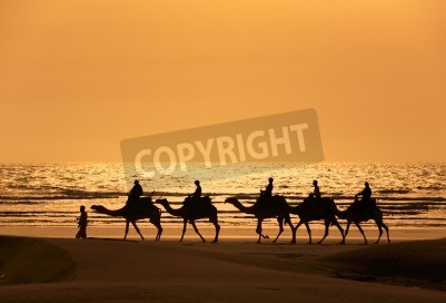 Fotobehang Woestijnzee en kamelen