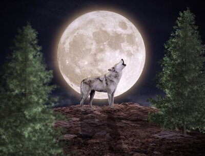Fotobehang Wolf op achtergrond van de volle maan