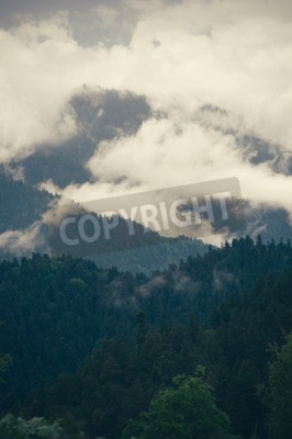 Fotobehang Wolken boven een bergwoud