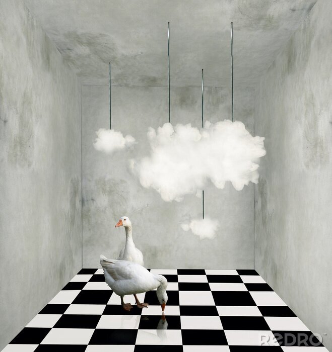Fotobehang Wolken en eenden in een surrealistische kamer