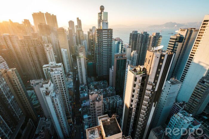 Fotobehang Wolkenkrabbers in Hong Kong