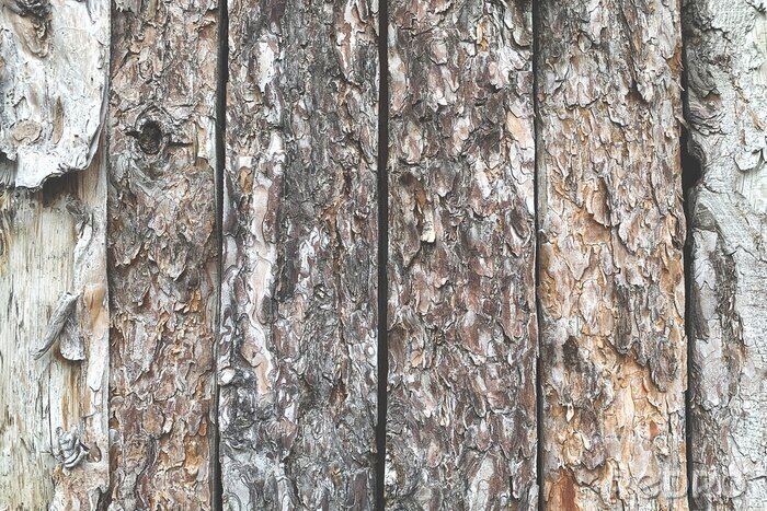 Fotobehang Wooden background. Close up picture of woods.