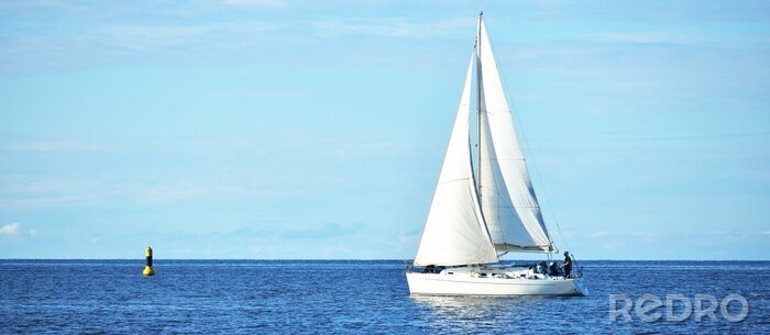 Fotobehang Yacht sailing in calm water in the gulf of Riga