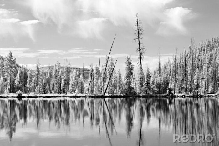 Fotobehang Yellowstone National Park schot in inheemse infrarood