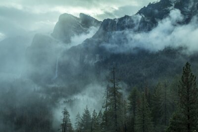 Fotobehang Yosemite nationaal park