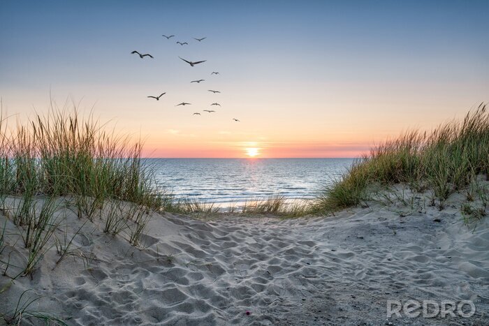Fotobehang Zandduinen aan zee en de zonsondergang