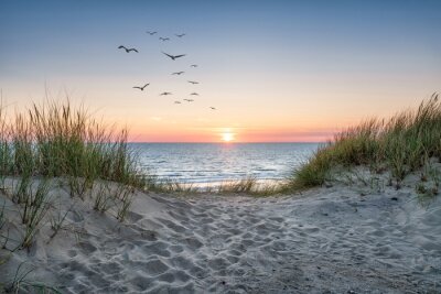 Fotobehang Zandduinen aan zee en de zonsondergang