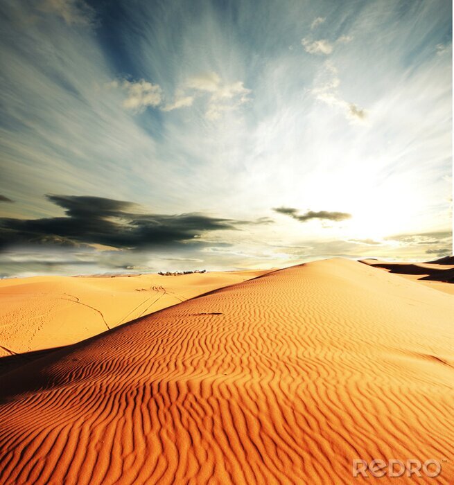 Fotobehang Zandvlakte in de woestijn
