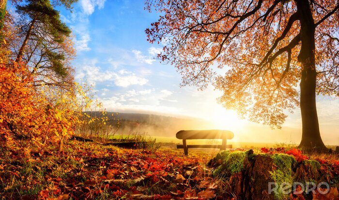 Fotobehang Zauberhafte Herbstszene