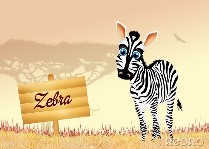 Fotobehang zebra