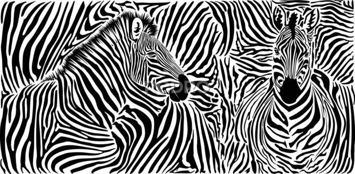 Fotobehang Zebra op gestreepte achtergrond