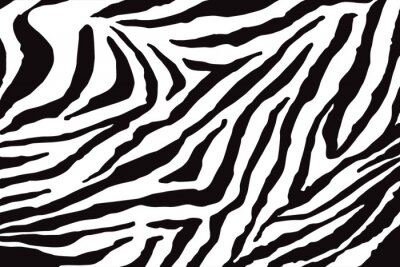 Fotobehang Zebraprint